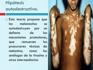 Hipótesis
autodestructiva.
 Esta teoría propone que
los melanocitos se
autodestruyen por un
defecto de los
mecanismos protectores,
que remueven los
precursores tóxicos de
melanina, como los
análogos de la tirosina y
otros intermediarios
 