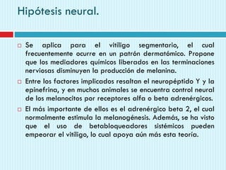 Hipótesis neural.
 Se aplica para el vitíligo segmentario, el cual
frecuentemente ocurre en un patrón dermatómico. Propone
que los mediadores químicos liberados en las terminaciones
nerviosas disminuyen la producción de melanina.
 Entre los factores implicados resaltan el neuropéptido Y y la
epinefrina, y en muchos animales se encuentra control neural
de los melanocitos por receptores alfa o beta adrenérgicos.
 El más importante de ellos es el adrenérgico beta 2, el cual
normalmente estimula la melanogénesis. Además, se ha visto
que el uso de betabloqueadores sistémicos pueden
empeorar el vitíligo, lo cual apoya aún más esta teoría.
 