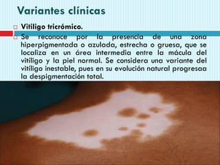 Variantes clínicas
 Vitiligo tricrómico.
 Se reconoce por la presencia de una zona
hiperpigmentada o azulada, estrecha o gruesa, que se
localiza en un área intermedia entre la mácula del
vitíligo y la piel normal. Se considera una variante del
vitíligo inestable, pues en su evolución natural progresaa
la despigmentación total.
 