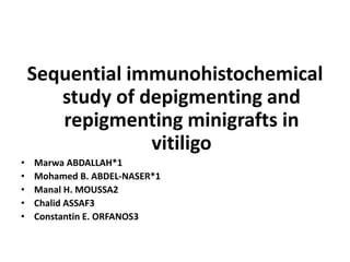 Sequential immunohistochemical
study of depigmenting and
repigmenting minigrafts in
vitiligo
• Marwa ABDALLAH*1
• Mohamed B. ABDEL-NASER*1
• Manal H. MOUSSA2
• Chalid ASSAF3
• Constantin E. ORFANOS3
 