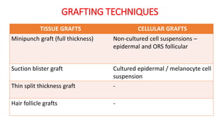 TISSUE GRAFTS CELLULAR GRAFTS
Minipunch graft (full thickness) Non-cultured cell suspensions –
epidermal and ORS follicular
Suction blister graft Cultured epidermal / melanocyte cell
suspension
Thin split thickness graft -
Hair follicle grafts -
GRAFTING TECHNIQUES
 