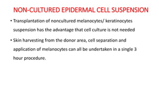 NON-CULTURED EPIDERMAL CELL SUSPENSION
• Transplantation of noncultured melanocytes/ keratinocytes
suspension has the advantage that cell culture is not needed
• Skin harvesting from the donor area, cell separation and
application of melanocytes can all be undertaken in a single 3
hour procedure.
 