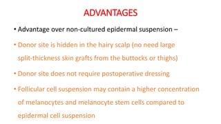 ADVANTAGES
• Advantage over non-cultured epidermal suspension –
• Donor site is hidden in the hairy scalp (no need large
split‐thickness skin grafts from the buttocks or thighs)
• Donor site does not require postoperative dressing
• Follicular cell suspension may contain a higher concentration
of melanocytes and melanocyte stem cells compared to
epidermal cell suspension
 