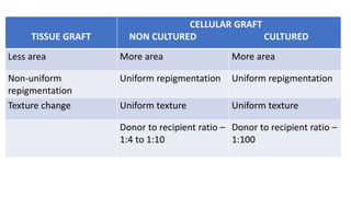 TISSUE GRAFT
CELLULAR GRAFT
NON CULTURED CULTURED
Less area More area More area
Non-uniform
repigmentation
Uniform repigmentation Uniform repigmentation
Texture change Uniform texture Uniform texture
Donor to recipient ratio –
1:4 to 1:10
Donor to recipient ratio –
1:100
 