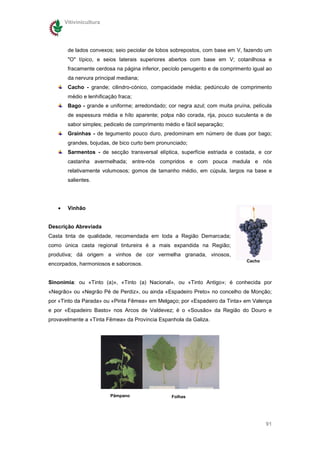 Vitivinicultura




        de lados convexos; seio peciolar de lobos sobrepostos, com base em V, fazendo um
        "O" típico, e seios laterais superiores abertos com base em V; cotanilhosa e
        fracamente cerdosa na página inferior, pecíolo penugento e de comprimento igual ao
        da nervura principal mediana;
        Cacho - grande; cilindro-cónico, compacidade média; pedúnculo de comprimento
        médio e lenhificação fraca;
        Bago - grande e uniforme; arredondado; cor negra azul; com muita pruína, película
        de espessura média e hílo aparente; polpa não corada, rija, pouco suculenta e de
        sabor simples; pedicelo de comprimento médio e fácil separação;
        Grainhas - de tegumento pouco duro, predominam em número de duas por bago;
        grandes, bojudas, de bico curto bem pronunciado;
        Sarmentos - de secção transversal elíptica, superfície estriada e costada, e cor
        castanha avermelhada; entre-nós compridos e com pouca medula e nós
        relativamente volumosos; gomos de tamanho médio, em cúpula, largos na base e
        salientes.




   •    Vinhão


Descrição Abreviada
Casta tinta de qualidade, recomendada em toda a Região Demarcada;
como única casta regional tintureira é a mais expandida na Região;
produtiva; dá origem a vinhos de cor vermelha granada, vinosos,
                                                                               Cacho
encorpados, harmoniosos e saborosos.


Sinonímia: ou «Tinto (a)», «Tinto (a) Nacional», ou «Tinto Antigo»; é conhecida por
«Negrão» ou «Negrão Pé de Perdiz», ou ainda «Espadeiro Preto» no concelho de Monção;
por «Tinto da Parada» ou «Pinta Fêmea» em Melgaço; por «Espadeiro da Tinta» em Valença
e por «Espadeiro Basto» nos Arcos de Valdevez; é o «Sousão» da Região do Douro e
provavelmente a «Tinta Fêmea» da Província Espanhola da Galiza.




                         Pâmpano                 Folhas




                                                                                       91
 
