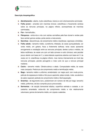 Vitivinicultura




Descrição Ampelográfica:


       Abrolhamento - aberto, muito cotanilhoso, branco e com orla levemente carminada;
       Folha jovem - amarela com manchas bronze; cotanilhosa e fracamente cerdosa
       sobre as nervuras principais, na página inferior, acompanhada de manchas
       carminadas;
       Flor - hermafrodita.;
       Pâmpanos - entre-nós e nós com estrias vermelhas pela face dorsal e verdes pela
       face ventral; gomos verdes; porte erecto a meio-erecto;
       Gavinhas - descontínuas, de comprimento médio e tearâneas; vigorosas e divididas;
       Folha adulta - tamanho médio, cuneiforme, trilobada, às vezes quinquelobada, cor
       verde médio, em goteira, fraca a fortemente bolhosa; raras vezes apresenta
       enrugamento e ondulação entre as nervuras principais; dentes curtos e médios, de
       lados rectilíneos, às vezes uns com um lado convexo e outro côncavo; seio peciolar
       pouco aberto com base em V, e seios laterais superiores abertos com base em V, às
       vezes em U; cotanilhosa na página inferior, mas menos intensamente ao nível das
       nervuras principais; pecíolo penugento e mais curto do que a nervura principal
       mediana;
       Cacho - tamanho médio. Cilindro-cénico e alado. Compacidade média, às vezes
       mais compacto. Pedúncuio de comprimento médio e lenhificação média;
       Bago - tamanho médio e uniforme; arredondado; cor negra azul; com muita pruína,
       película de espesssura média e hilo pouco aparente; polpa corada, mole, suculenta e
       de sabor especial; pedicelo de comprimento médio e fácil separação;
       Grainhas - de tegumento duro, predominam em número de três por bago; tamanho
       médio, piriformes, de bico comprido pouco pronunciado;
       Sarmentos - de secção transversal elíptica, superfície estriada e costada, e cor
       castanha amarelada; entre-nós de comprimento médio e nós relativamente
       volumosos; gomos de tamanho médio, em cúpula e salientes.




                                                                                       92
 