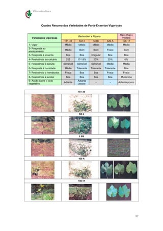 Vitivinicultura




           Quadro Resumo das Variedades de Porta-Enxertos Vigorosas


                                                                              Rip.x Rup.x
                                         Berlandieri x Riparia
  Variedades vigorosas                                                          Vinifera
                             161-49       SO 4         5 BB       420 A         196-17
1- Vigor                      Médio      Médio        Médio       Médio         Médio
2- Resposta ao
                              Médio       Bom          Bom        Fraco          Bom
enraizamento
3- Resposta à enxertia         Boa        Boa        Irregular     Boa           Boa
4- Resistência ao calcário     255      17-18%         20%         20%            6%
5- Resistência à secura      Sensível   Sensível     Sensível     Média         Média
6- Resposta à humidade        Média     Tolerante   Tolerante    Tolerante       Boa
7- Resistência a nemátodos    Fraca       Boa          Boa        Fraca         Fraca
8- Resistência à acidez        Boa        Boa          Boa         Boa         Muito boa
9- Acção sobre o ciclo                  Adianta
                             Adianta                     -           -       Adianta pouco
vegetativo                               pouco


                                         161-49




                                          SO 4




                                          5 BB




                                         420 A




                                         196-17




                                                                                             97
 