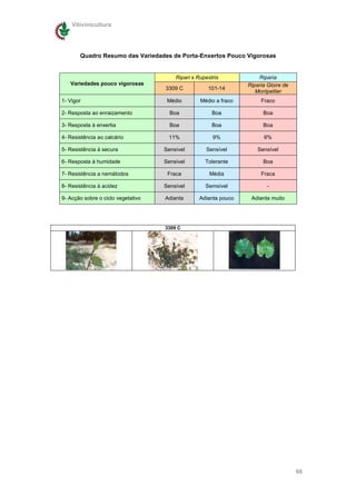 Vitivinicultura




       Quadro Resumo das Variedades de Porta-Enxertos Pouco Vigorosas


                                        Ripari x Rupestris            Riparia
   Variedades pouco vigorosas                                     Riparia Gloire de
                                    3309 C           101-14
                                                                     Montpellier
1- Vigor                             Médio        Médio a fraco        Fraco

2- Resposta ao enraizamento           Boa              Boa              Boa

3- Resposta à enxertia                Boa              Boa              Boa

4- Resistência ao calcário           11%               9%               6%

5- Resistência à secura             Sensível        Sensível          Sensível

6- Resposta à humidade              Sensível        Tolerante           Boa

7- Resistência a nemátodos           Fraca            Média            Fraca

8- Resistência à acidez             Sensível        Semsível              -

9- Acção sobre o ciclo vegetativo   Adianta      Adianta pouco     Adianta muito




                                    3309 C




                                                                                      98
 