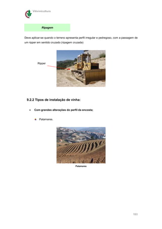 Vitivinicultura




              Ripagem


Deve aplicar-se quando o terreno apresenta perfil irregular e pedregoso, com a passagem de
um ripper em sentido cruzado (ripagem cruzada)




           Ripper




 9.2.2 Tipos de instalação de vinha:


   •    Com grandes alterações do perfil da encosta;


            Patamares.




                                        Patamares




                                                                                      103
 