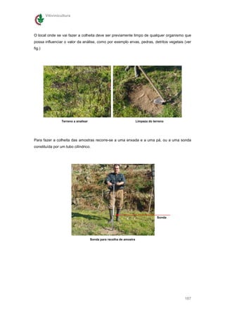 Vitivinicultura




O local onde se vai fazer a colheita deve ser previamente limpo de qualquer organismo que
possa influenciar o valor da análise, como por exemplo ervas, pedras, detritos vegetais (ver
fig.)




                 Terreno a analisar                                   Limpeza do terreno




Para fazer a colheita das amostras recorre-se a uma enxada e a uma pá, ou a uma sonda
constituída por um tubo cilíndrico.




                                                                                   Sonda




                                      Sonda para recolha de amostra




                                                                                           107
 