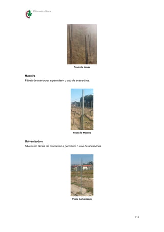 Vitivinicultura




                                      Poste de Lousa



Madeira
Fáceis de manobrar e permitem o uso de acessórios.




                                     Poste de Madeira



Galvanizados
São muito fáceis de manobrar e permitem o uso de acessórios.




                                    Poste Galvanizado




                                                               114
 