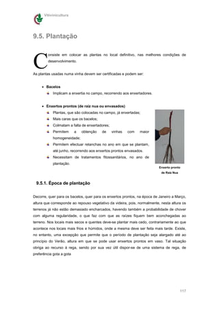 Vitivinicultura




9.5. Plantação



C
         onsiste em colocar as plantas no local definitivo, nas melhores condições de
         desenvolvimento.


As plantas usadas numa vinha devem ser certificadas e podem ser:


     • Bacelos
            Implicam a enxertia no campo, recorrendo aos enxertadores.


     • Enxertos prontos (de raiz nua ou envasados)
            Plantas, que são colocadas no campo, já enxertadas;
            Mais caras que os bacelos;
            Colmatam a falta de enxertadores;
            Permitem      a   obtenção   de     vinhas   com   maior
            homogeneidade;
            Permitem efectuar retanchas no ano em que se plantam,
            até junho, recorrendo aos enxertos prontos envasados.
            Necessitam de tratamentos fitossanitários, no ano de
            plantação.
                                                                           Enxerto pronto
                                                                            de Raiz Nua


 9.5.1. Época de plantação


Decorre, quer para os bacelos, quer para os enxertos prontos, na época de Janeiro a Março,
altura que corresponde ao repouso vegetativo da videira, pois, normalmente, nesta altura os
terrenos já não estão demasiado encharcados, havendo também a probabilidade de chover
com alguma regularidade, o que faz com que as raízes fiquem bem aconchegadas ao
terreno. Nos locais mais secos e quentes deve-se plantar mais cedo, contrariamente ao que
acontece nos locais mais frios e húmidos, onde a mesma deve ser feita mais tarde. Existe,
no entanto, uma excepção que permite que o período de plantação seja alargado até ao
princípio do Verão, altura em que se pode usar enxertos prontos em vaso. Tal situação
obriga ao recurso à rega, sendo por sua vez útil dispor-se de uma sistema de rega, de
preferência gota a gota




                                                                                          117
 