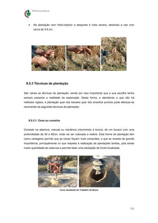 Vitivinicultura




   •    Na plantação com hidro-injector a desponta é mais severa, deixando a raiz com
        cerca de 3-5 cm.




 9.5.3 Técnicas de plantação

São várias as técnicas de plantação, sendo por isso importante que a sua escolha tenha
sempre presente a realidade da exploração. Desta forma, e atendendo a que não há
métodos rígidos, a plantação quer dos bacelos quer dos enxertos prontos pode efectuar-se
recorrendo às seguintes técnicas de plantação:




   9.5.3.1. Cova ou covacho


Consiste na abertura, manual ou mecânica (recorrendo à broca), de um buraco com uma
profundidade de 40 a 60cm, onde vai ser colocada a videira. Esta forma de plantação tem
como vantagens permitir que as raízes fiquem mais compridas, o que se reveste de grande
importância, principalmente no que respeita à realização de plantações tardias, pois existe
maior quantidade de reservas e permite fazer uma adubação de fundo localizada.




                             Cova resultante do Trabalho da Broca




                                                                                       120
 