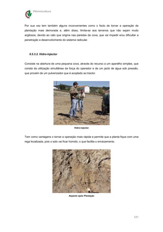 Vitivinicultura




Por sua vez tem também alguns inconvenientes como o facto de tornar a operação de
plantação mais demorada e, além disso, limita-se aos terrenos que não sejam muito
argilosos, devido ao calo que origina nas paredes da cova, que vai impedir e/ou dificultar a
penetração e desenvolvimento do sistema radicular.




   9.5.3.2. Hidro-injector


Consiste na abertura de uma pequena cova, através do recurso a um aparelho simples, que
consta da utilização simultânea da força do operador e de um jacto de água sob pressão,
que provém de um pulverizador que é acoplado ao tractor.




                                          Hidro-injector



Tem como vantagens o tornar a operação mais rápida e permite que a planta fique com uma
rega localizada, pois o solo vai ficar húmido, o que facilita o enraizamento.




                                     Aspecto após Plantação




                                                                                        121
 