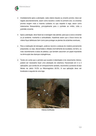 Vitivinicultura




•    Imediatamente após a plantação, cada videira (bacelo ou enxerto pronto), deve ser
     regado abundantemente, assim como durante o verão no primeiro ano; os enxertos
     prontos exigem mais e maiores cuidados no que respeita à rega, assim como
     tratamentos fitossanitários, principalmente para o combate ao míldio, oídio e
     podridão cinzenta;


•    Após a plantação, deve fazer-se a tutoragem das plantas, para que a zona a enxertar
     ou já existente, mantenha a verticalidade, impedindo assim que o futuro tronco da
     videira fique defeituoso bem como para proteger as plantas de acidentes eventuais;


•    Para a realização da tutoragem, pode-se recorrer a estacas de madeira previamente
     preparadas, ou seja, descarnadas e afiadas (normalmente de eucalipto), de ferro, ou
     mais recentemente a tubos de plástico, que também assumem um papel importante
     na diminuição das doenças criptogâmicas;


•    Tendo em conta que o período que sucede à rebentação é de crescimento intenso,
     poderá ser necessário fazer uma adubação de cobertura, fraccionada em 2 a 3
     aplicações, que consta de um enriquecimento azotado, recorrendo a produtos do tipo
     Nitrato de cálcio 15,5% ou Nitromagnésio 20.5%. A sua aplicação deve ser
     localizada e seguida de uma rega.




                                  Videiras Certificadas




                                                                                     123
 
