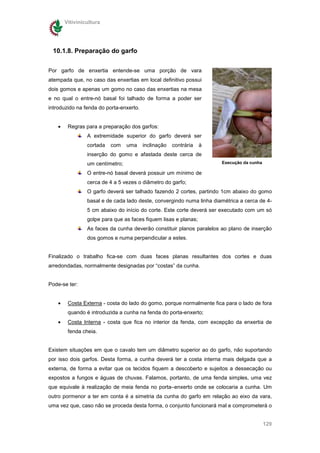 Vitivinicultura




 10.1.8. Preparação do garfo

Por garfo de enxertia entende-se uma porção de vara
atempada que, no caso das enxertias em local definitivo possui
dois gomos e apenas um gomo no caso das enxertias na mesa
e no qual o entre-nó basal foi talhado de forma a poder ser
introduzido na fenda do porta-enxerto.


    •    Regras para a preparação dos garfos:
                 A extremidade superior do garfo deverá ser
                 cortada   com    uma    inclinação   contrária   à
                 inserção do gomo e afastada deste cerca de
                 um centímetro;                                        Execução da cunha

                 O entre-nó basal deverá possuir um mínimo de
                 cerca de 4 a 5 vezes o diâmetro do garfo;
                 O garfo deverá ser talhado fazendo 2 cortes, partindo 1cm abaixo do gomo
                 basal e de cada lado deste, convergindo numa linha diamétrica a cerca de 4-
                 5 cm abaixo do início do corte. Este corte deverá ser executado com um só
                 golpe para que as faces fiquem lisas e planas;
                 As faces da cunha deverão constituir planos paralelos ao plano de inserção
                 dos gomos e numa perpendicular a estes.


Finalizado o trabalho fica-se com duas faces planas resultantes dos cortes e duas
arredondadas, normalmente designadas por “costas” da cunha.


Pode-se ter:


    •    Costa Externa - costa do lado do gomo, porque normalmente fica para o lado de fora
         quando é introduzida a cunha na fenda do porta-enxerto;
    •    Costa Interna - costa que fica no interior da fenda, com excepção da enxertia de
         fenda cheia.


Existem situações em que o cavalo tem um diâmetro superior ao do garfo, não suportando
por isso dois garfos. Desta forma, a cunha deverá ter a costa interna mais delgada que a
externa, de forma a evitar que os tecidos fiquem a descoberto e sujeitos a dessecação ou
expostos a fungos e águas de chuvas. Falamos, portanto, de uma fenda simples, uma vez
que equivale à realização de meia fenda no porta–enxerto onde se colocaria a cunha. Um
outro pormenor a ter em conta é a simetria da cunha do garfo em relação ao eixo da vara,
uma vez que, caso não se proceda desta forma, o conjunto funcionará mal e comprometerá o


                                                                                           129
 