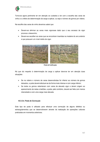 Vitivinicultura




Torna-se agora pertinente ter em atenção os cuidados a ter com a escolha das varas de
vinho e o critério de determinação da carga a aplicar, ou seja o número de gomos por videira.


Na escolha das varas de vinho devemos saber que:


    •    Devem-se eliminar as varas mais vigorosas dado que o seu excesso de vigor
         provoca o desavinho;
    •    Devem-se escolher as varas que se encontram inseridas na madeira do ano anterior
         e que possuam um nível médio de vigor.




                                      Poda de frutificação



No que diz respeito à determinação da carga a aplicar deve-se ter em atenção duas
situações:


    •    Se na videira o número de varas desenvolvidas for inferior ao número de gomos
         deixados, a poda deverá efectuar-se de forma mais intensa e com carga inferior;
    •    Se todos os gomos rebentaram com varas de elevado vigor e deram origem ao
         aparecimento de netas e ladrões, a poda, pelo contrário, deverá ser feita com menos
         intensidade e com uma carga mais elevada.




   10.3.5.4. Poda de Correcção


Este tipo de poda é utilizado para efectuar uma correcção de alguns defeitos ou
estrangulamentos que se desenvolveram através da realização de operações culturais
praticadas em momentos anteriores.




                                                                                           147
 