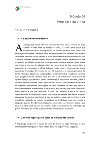 Vitivinicultura




                                                                         Módulo 04
                                                        Protecção da Vinha

11.1. Introdução

 11.1.1. Enquadramento histórico




A
          s doenças das plantas cultivadas conhecem-se desde tempos remotos. Os livros
          sagrados da Índia falam de doenças no arroz, e a bíblia refere pragas que
          assolaram as culturas no antigo Egipto. Os romanos perante o horror sentido com
as ferrugens dos cereais, criaram as festas anuais (Robigalia) com sacrifícios para acalmar
os deuses e libertar os campos da doença, essas cerimónias chegaram aos nossos dias com
o nome de rogativas. Na idade média o estudo das pragas e doenças não evoluiu mas elas
continuam a ser referidas nos escritos. No renascimento começa-se a pensar que as causas
das pragas e doenças das plantas podem ser semelhantes às dos homens. Com a
descoberta do microscópio a ciência biológica evoluiu muito e observaram-se fungos
causadores de doenças. Em meados do séc. XIX descobre-se a natureza parasitária do
carvão e ferrugens dos cereais, preconizando-se como tratamento a imersão das sementes
numa solução diluída de sulfato de cobre. Em 1864 já se conheciam os ciclos de vida de
algumas doenças que atacam os cereais, identificando os hospedeiros. Em 1851, Grisón, o
jardineiro chefe de Versalhes, inventa o polissulfureto de cálcio e em 1855 Millardet descobre
as magnificas propriedades anti-fúngicas da calda bordalesa, se bem que devido à
fitotoxidade revelada, imediatamente se iniciaram os estudos com vista à sua substituição.
Assim nasceu a era dos pesticidas. A partir daí começou a época do grande
desenvolvimento da fitopatologia (ciência que estuda as doenças das plantas enquanto
causadoras de prejuízos económicos e trata de evitá-las, preveni-las ou diminuir a sua
importância, aplicando as medidas terapêuticas ou profilácticas mais convenientes e
adequadas que não deverão trazer riscos para o consumidor, nem danificar a cultura e que
causem o menor dano possível ao ambiente). Este desenvolvimento foi sustentado pelo
grande incremento que tiveram os conhecimentos microbiológicos e químicos.




 11.1.2. Breves noções gerais sobre os inimigos das culturas


A fitopatologia compreende o estudo da causa da doença ou praga (Etiologia), os seus
sintomas (Sintomatologia) e os meios práticos de curá-la ou preveni-la (Terapêutica).


                                                                                          153
 