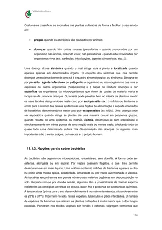Vitivinicultura




Costuma-se classificar as anomalias das plantas cultivadas de forma a facilitar o seu estudo
em:


      •    pragas quando as alterações são causadas por animais;


      •    doenças quando têm outras causas (parasitárias - quando provocadas por um
           organismo não animal, incluindo vírus; não parasitárias - quando não provocadas por
           organismos vivos (ex.: carências, intoxicações, agentes climatéricos, etc...)).


Uma doença diz-se sistémica quando o mal atinge toda a planta e localizada quando
aparece apenas em determinados órgãos. O conjunto dos sintomas que nos permite
distinguir uma planta doente de uma sã é o quadro sintomatológico, ou síndroma. Designa-se
por parasita, agente infeccioso ou patógenio o organismo ou microorganismo que vive a
expensas de outros organismos (hospedeiros) e é capaz de produzir doenças e por
saprófitas os organismos ou microorganismos que vivem às custas de matéria morta e
incapazes de provocar doenças. O parasita pode penetrar bem no interior da planta e invadir
os seus tecidos designando-se neste caso por endoparasita (ex.: o míldio) ou limitar-se a
emitir para o interior das células epidérmicas uns órgãos de alimentação e suporte chamados
de haustórios denominando-se neste caso por ectoparasitas (ex. oídio). Uma doença pode
ser esporádica quando atinge as plantas de uma maneira casual em pequenos grupos,
quando resulta de uma epidemia, ou melhor, epifitia, desenvolve-se com intensidade e
simultaneamente em vários pontos de uma região mais ou menos vasta, afectando toda ou
quase toda uma determinada cultura. Na disseminação das doenças os agentes mais
importantes são o vento; a água, os insectos e o próprio homem.




 11.1.3. Noções gerais sobre bactérias


As bactérias são organismos microscópicos, unicelulares, sem clorofila. A forma pode ser
esférica, alongada ou em espiral. Por vezes possuem flagelos, o que lhes permite
deslocarem-se em meio líquido. Uma colónia contendo milhões de bactérias aparece a olho
nu como uma massa opaca, acinzentada, amarelada ou por vezes avermelhada e viscosa.
As bactérias encontram-se em grande número nas matérias orgânicas em decomposição no
solo. Reproduzem-se por divisão celular, algumas têm a possibilidade de formar esporos
resistentes às condições adversas de secura, calor, frio e presença de substâncias químicas.
A temperatura óptima para o seu desenvolvimento é normalmente elevada, situando-se entre
os 25ºC e 37ºC. Hibernam no solo, restos vegetais, tubérculos e grãos infectados. O número
de espécies de bactérias que atacam as plantas cultivadas é muito menor que o dos fungos
parasitas. Penetram nos tecidos vegetais por feridas e estomas, segregam fermentos que


                                                                                             154
 