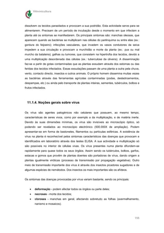 Vitivinicultura




dissolvem os tecidos parasitados e provocam a sua podridão. Esta actividade serve para se
alimentarem. Precisam de um período de incubação desde o momento em que infectam a
planta até os sintomas se manifestarem. Os principais sintomas são: manchas oleosas, que
aparecem quando as bactérias se multiplicam nas células do parênquima ou entre elas (ex.:
gordura do feijoeiro); infecções vasculares, que invadem os vasos condutores da seiva
impedem a sua circulação e provocam a murchidão e morte da planta (ex.: pus ou mal
murcho da batateira); galhas ou tumores, que consistem na hipertrofia dos tecidos, devido a
uma multiplicação desordenada das células (ex.: tuberculose da oliveira). A disseminação
faz-se a partir de gotas contaminadas que as plantas exsudam através dos estomas ou das
feridas dos tecidos infectados. Essas exsudações passam de uma planta a outra pela chuva,
vento, contacto directo, insectos e outros animais. O próprio homem dissemina muitas vezes
as bactérias através das ferramentas agrícolas contaminadas (podas, desladroamentos,
despampas, etc.) ou ainda pelo transporte de plantas inteiras, sementes, tubérculos, bolbos e
frutos infectados.




  11.1.4. Noções gerais sobre vírus

Os vírus são agentes patogénicos não celulares que possuem, ao mesmo tempo,
características de seres vivos, como por exemplo a da multiplicação, e de matéria inerte.
Devido às suas dimensões mínimas, os vírus são invisíveis ao microscópio óptico, só
podendo ser revelados ao microscópio electrónico (500.000X de ampliação). Podem
apresentar-se em forma de bastonetes, filamentos ou partículas esféricas. A existência de
vírus na planta é reconhecível pelos sintomas característicos das doenças que provocam e
identificados em laboratório através dos testes ELISA. A sua actividade e multiplicação só
são possíveis no interior de células vivas. Os vírus presentes numa planta difundem-se
rapidamente para quase todos os seus órgãos. Assim sendo os tubérculos, bolbos, garfos,
estacas e gomos que provêm de plantas doentes são portadoras de vírus, dando origem a
plantas igualmente viróticas (processo de transmissão por propagação vegetativa). Outro
meio de transmissão importante dos vírus é através dos insectos picadores sugadores e de
algumas espécies de nemátodos. Dos insectos os mais importantes são os afídeos.


Os sintomas das doenças provocadas por vírus variam bastante, sendo os principais:


    •    deformação - podem afectar todos os órgãos ou parte deles;
    •    necroses - morte dos tecidos;
    •    cloroses - manchas em geral, afectando sobretudo as folhas (avermelhamento,
         nanismo e mosaicos).




                                                                                         155
 
