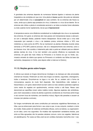 Vitivinicultura




A gravidade dos sintomas depende de numerosos factores ligados à natureza da planta
hospedeira e às condições em que vive. Uma planta é imune quando não pode ser afectada
por um determinado vírus e susceptível em caso contrário. Se os sintomas são fracos ou
nulos, ainda que a planta seja portadora do vírus, é tolerante e o vírus diz-se latente. Se os
sintomas são nítidos a planta é considerada sensível e, se todos os tecidos forem afectados
ou toda a planta morrer rapidamente, diz-se que é hipersensível.


A temperatura exerce uma influência considerável na multiplicação dos vírus e na expressão
dos sintomas. Em geral, os sintomas são mais graves com temperaturas baixas e atenuam-
se com a elevação destas, podendo mesmo desaparecer. Diz-se então que o vírus está
mascarado (por exemplo o vírus x da batateira produz sintomas nítidos a 16ºC mas
indistintos ou nulos acima de 20ºC). Se se mantiverem as plantas infectadas durante várias
semanas a 37ºC-38ºC pode-se provocar, não só o desaparecimento dos sintomas, como o
de diversos vírus. Isto constitui o tratamento pelo calor e pode ser utilizado para se obterem
plantas isentas de vírus. A luz tem também uma grande influência na expressão dos
sintomas, em geral são mais nítidos na Primavera e no Outono do que no Verão, (ex.:
mosaico amarelo da videira que aprece na Primavera e é evidente nas folhas da base dos
sarmentos, desaparece no Verão, para depois voltar a notar-se no Outono).




11.1.5. Noções gerais sobre fungos

A ciência que estuda os fungos denomina-se micologia e as doenças por eles provocadas
chamam-se micoses. Pertencem ao reino dos fungos os bolores, cogumelos, champignons,
trufas e leveduras. Encontram-se na água e no solo. No ar, existem sob a forma de
microscópicos esporos de muito fácil dispersão. São heterotróficos (não realizam a
fotossíntese) e, em geral, desenvolvem-se bem sobre os mais variados substratos orgânicos
como restos de vegetais em apodrecimento, animais mortos e até fezes. Nesse caso
denominam-se saprófitas (vivem sobre matéria morta). Algumas espécies são simbióticas,
pois vivem associadas a raízes de plantas superiores constituindo as micorrizas (entre fungo
e raiz ocorrem troca de nutrientes, com benefício mútuo). Alguns são parasitas e causam as
micoses (em plantas e animais).


Os fungos normalmente são seres constituídos por estruturas vegetativas filamentosas, as
hifas, que se entrecruzam para formar o seu corpo e que, no seu conjunto, recebem o nome
de micélio. Estes podem ter sistemas ramificados difusos, como os bolores, ou organizarem-
se em talos, como nos cogumelos. Os micélios não representam verdadeiros tecidos, pois
entre as hifas agrupadas não há paredes celulares comuns, como nos vegetais, falando-se
em plectênquima. Por vezes as hifas unem-se em cordões chamados rizomorfos (rizo = raiz;


                                                                                          156
 