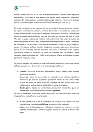 Vitivinicultura




morfos = forma), como por ex. no caso da Rossellinia necatrix. Também podem aglomerar
intensamente, modificando a parte externa que adquire maior consistência, constituindo
esclerotos. Em ambos os casos essas formações têm por objectivo a sobrevivência do fungo
perante condições inóspitas e desfavoráveis do meio ambiente (frio, seca, etc...).


Os fungos reproduzem-se por esporos, que são o equivalente das sementes nos vegetais.
Os esporos podem ser imperfeitos ou perfeitos. Denominam-se imperfeitos ou assexuados
quando se formam sem o concurso de elementos masculinos e femininos. Estes esporos
formam-se quando as condições do meio são favoráveis; ao germinar dão lugar a novas
hifas com as quais a doença se multiplica muito activamente. Nos fungos produtores de
doenças nas plantas do nosso clima, os esporos imperfeitos produzem-se desde a Primavera
até ao Outono, e correspondem a uma fase de propagação e difusão do fungo através do
espaço. Os esporos perfeitos, também designados sexuados, são assim denominados
porque na sua formação intervêm elementos masculinos e femininos. Estes esporos
produzem-se quando as condições do meio são adversas (falta de alimento, pouca
humidade, baixa temperatura, etc.) e irão no ano seguinte originar as infecções primárias
germinando em poucas horas.


Os esporos sexuados que resultam da fusão de 2 hifas de sexo distinto, conforme a espécie
do fungo, produzem-se e denominam-se de uma das seguintes formas:


    •    Oósporo - típico dos ficomicetas, originam-se no seio do micélio, é livre e possui
         uma coberta resistente;
    •    Ascóporos - típicos dos ascomicetas, são produzidos numa estrutura específica e
         diferenciada que pode ser ou periteca, quando tem a forma de uma vasilha, dentro
         da qual se situam os ascos, invólucros cilíndricos que têm no seu interior oito
         ascósporos, ou apoteca, quando adopta a forma aberta de uma taça;
    •    Basidiósporos - típicos das basidiomicetas, amadurecem no carpófago que é um
         enorme órgão de frutificação muito conhecido (cogumelo).
Os esporos assexuados ou conídios também se originam nos diversos tipos ou ordens de
fungos de forma muito diferente podendo-se ter:


    •    A mais generalizada e que é proveniente da formação dos conídios em hifas
         especializadas, chamadas conidióforos, no seio do micélio vegetativo;
    •    Nalguns tipos de fungos aparecem frutificações miceliares, que recebem o nome de
         picnídio, quando adopta a forma de recipiente fechado, ou acérvulo se é muito mais
         aberto.




                                                                                       157
 