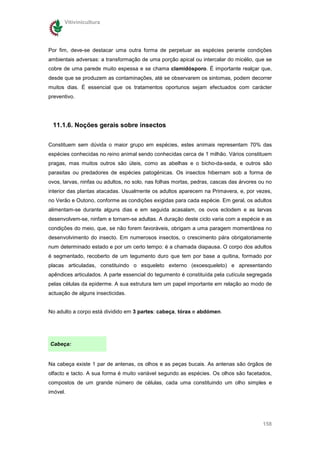 Vitivinicultura




Por fim, deve-se destacar uma outra forma de perpetuar as espécies perante condições
ambientais adversas: a transformação de uma porção apical ou intercalar do micélio, que se
cobre de uma parede muito espessa e se chama clamidósporo. É importante realçar que,
desde que se produzem as contaminações, até se observarem os sintomas, podem decorrer
muitos dias. É essencial que os tratamentos oportunos sejam efectuados com carácter
preventivo.




 11.1.6. Noções gerais sobre insectos

Constituem sem dúvida o maior grupo em espécies, estes animais representam 70% das
espécies conhecidas no reino animal sendo conhecidas cerca de 1 milhão. Vários constituem
pragas, mas muitos outros são úteis, como as abelhas e o bicho-da-seda, e outros são
parasitas ou predadores de espécies patogénicas. Os insectos hibernam sob a forma de
ovos, larvas, ninfas ou adultos, no solo, nas folhas mortas, pedras, cascas das árvores ou no
interior das plantas atacadas. Usualmente os adultos aparecem na Primavera, e, por vezes,
no Verão e Outono, conforme as condições exigidas para cada espécie. Em geral, os adultos
alimentam-se durante alguns dias e em seguida acasalam, os ovos eclodem e as larvas
desenvolvem-se, ninfam e tornam-se adultas. A duração deste ciclo varia com a espécie e as
condições do meio, que, se não forem favoráveis, obrigam a uma paragem momentânea no
desenvolvimento do insecto. Em numerosos insectos, o crescimento pára obrigatoriamente
num determinado estado e por um certo tempo: é a chamada diapausa. O corpo dos adultos
é segmentado, recoberto de um tegumento duro que tem por base a quitina, formado por
placas articuladas, constituindo o esqueleto externo (exoesqueleto) e apresentando
apêndices articulados. A parte essencial do tegumento é constituída pela cutícula segregada
pelas células da epiderme. A sua estrutura tem um papel importante em relação ao modo de
actuação de alguns insecticidas.


No adulto a corpo está dividido em 3 partes: cabeça, tórax e abdómen.




Cabeça:


Na cabeça existe 1 par de antenas, os olhos e as peças bucais. As antenas são órgãos de
olfacto e tacto. A sua forma é muito variável segundo as espécies. Os olhos são facetados,
compostos de um grande número de células, cada uma constituindo um olho simples e
imóvel.




                                                                                         158
 