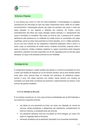 Vitivinicultura




Sintomas e Prejuízos


É uma doença que ocorre na vinha em focos localizados. A sintomatologia na vegetação
caracteriza-se por diminuição do vigor das cepas, lançamentos fracos, folhas de cor pálida,
emurchecimento e dessecações parciais das cepas em períodos mais secos e morte das
cepas atacadas no ano seguinte à detecção dos sintomas. No Outono, ocorre
avermelhamento das folhas das cepas atacadas (asfixia radicular) e o atempamento das
varas é incompleto ou inexistente. Nas raízes, ao nível do colo, a presença de R. necatrix
identifica-se pela presença de um enfeltrado de micélio branco ou acinzentado nas raízes
superficiais, sendo as raízes mais profundas as menos atacadas. Já a A. mellea caracteriza-
se por uma zona cuticular da raiz enegrecida e facilmente destacável. Entre o lenho e a
casca, surge um emaranhado de micélio branco, achatado (rizomorfos), enquanto sobre a
casca se observam cordões miceliares castanhos ou negros (rizomorfos) sendo frequente
aparecerem carpóforos de fungo (cogumelos) cor de mel, agrupados junto ao colo das cepas
afectadas. As cepas muito atacadas arrancam-se com facilidade




Estratégia de luta


É indispensável assegurar o estado sanitário das plantas no momento da plantação da vinha
e evitar usar bacelos de Rupestris du Lot em terrenos húmidos; não se deve também plantar
vinha sobre vinha, deve-se fazer um intervalo com policultura, de preferência cereais,
durante 5 anos; não utilizar estrumes mal curtidos; drenar terrenos com excesso de
humidade e em geral evitar os factores que favorecem o desenvolvimento da doença. A luta
química não garante resultados.




   11.2.1.8. Urticado ou Nó curto


É uma doença causada por um vírus cujas primeiras manifestações são de difícil detecção e
que evidencia os seguintes sintomas:


   •    nas folhas há uma asssimetria do limbo, por vezes com alteração do número de
        nervuras, dentes pontiagudos e alargamento das reentrâncias, amarelecimento do
        limbo em manchas, ou localizado perto das nervuras;
   •    nos pâmpanos apresenta entre-nós encurtados de forma desigual, por vezes com
        duplo nó; vegetação débil na Primavera;
   •    sarmentos achatados que se desdobram (fasciação) com numerosas ramificações.


                                                                                       178
 