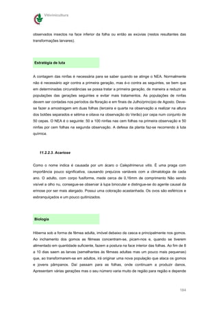Vitivinicultura




observados insectos na face inferior da folha ou então as exúvias (restos resultantes das
transformações larvares).




Estratégia de luta


A contagem das ninfas é necessária para se saber quando se atinge o NEA. Normalmente
não é necessário agir contra a primeira geração, mas é-o contra as seguintes, se bem que
em determinadas circunstâncias se possa tratar a primeira geração, de maneira a reduzir as
populações das gerações seguintes e evitar mais tratamentos. As populações de ninfas
devem ser contadas nos períodos da floração e em finais de Julho/princípio de Agosto. Deve-
se fazer a amostragem em duas folhas (terceira e quarta na observação a realizar na altura
dos botões separados e sétima e oitava na observação do Verão) por cepa num conjunto de
50 cepas. O NEA é o seguinte: 50 a 100 ninfas nas cem folhas na primeira observação e 50
ninfas por cem folhas na segunda observação. A defesa da planta faz-se recorrendo à luta
química.




   11.2.2.3. Acariose


Como o nome indica é causada por um ácaro o Calepitrimerus vitis. É uma praga com
importância pouco significativa, causando prejuízos variáveis com a climatologia de cada
ano. O adulto, com corpo fusiforme, mede cerca de 0,16mm de comprimento Não sendo
visível a olho nu, consegue-se observar à lupa binocular e distingue-se do agente causal da
erinose por ser mais alargado. Possui uma coloração acastanhada. Os ovos são esféricos e
esbranquiçados e um pouco quitinizados.




Biologia


Hiberna sob a forma de fêmea adulta, imóvel debaixo da casca e principalmente nos gomos.
Ao inchamento dos gomos as fêmeas concentram-se, picam-nos e, quando se tiverem
alimentado em quantidade suficiente, fazem a postura na face interior das folhas. Ao fim de 8
a 10 dias saem as larvas (semelhantes às fêmeas adultas mas um pouco mais pequenas)
que, ao transformarem-se em adultos, irá originar uma nova população que ataca os gomos
e jovens pâmpanos. Daí passam para as folhas, onde continuam a produzir danos.
Apresentam várias gerações mas o seu número varia muito de região para região e depende




                                                                                         184
 
