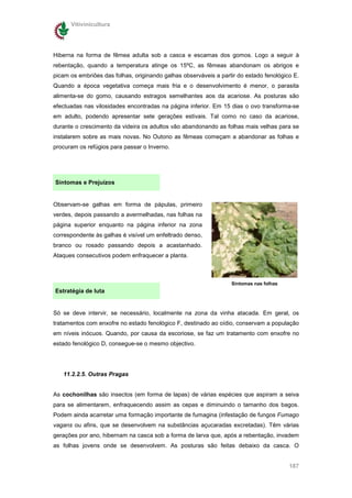 Vitivinicultura




Hiberna na forma de fêmea adulta sob a casca e escamas dos gomos. Logo a seguir à
rebentação, quando a temperatura atinge os 15ºC, as fêmeas abandonam os abrigos e
picam os embriões das folhas, originando galhas observáveis a partir do estado fenológico E.
Quando a época vegetativa começa mais fria e o desenvolvimento é menor, o parasita
alimenta-se do gomo, causando estragos semelhantes aos da acariose. As posturas são
efectuadas nas vilosidades encontradas na página inferior. Em 15 dias o ovo transforma-se
em adulto, podendo apresentar sete gerações estivais. Tal como no caso da acariose,
durante o crescimento da videira os adultos vão abandonando as folhas mais velhas para se
instalarem sobre as mais novas. No Outono as fêmeas começam a abandonar as folhas e
procuram os refúgios para passar o Inverno.




Sintomas e Prejuízos


Observam-se galhas em forma de pápulas, primeiro
verdes, depois passando a avermelhadas, nas folhas na
página superior enquanto na página inferior na zona
correspondente às galhas é visível um enfeltrado denso,
branco ou rosado passando depois a acastanhado.
Ataques consecutivos podem enfraquecer a planta.



                                                                  Sintomas nas folhas
Estratégia de luta


Só se deve intervir, se necessário, localmente na zona da vinha atacada. Em geral, os
tratamentos com enxofre no estado fenológico F, destinado ao oídio, conservam a população
em níveis inócuos. Quando, por causa da escoriose, se faz um tratamento com enxofre no
estado fenológico D, consegue-se o mesmo objectivo.




   11.2.2.5. Outras Pragas


As cochonilhas são insectos (em forma de lapas) de várias espécies que aspiram a seiva
para se alimentarem, enfraquecendo assim as cepas e diminuindo o tamanho dos bagos.
Podem ainda acarretar uma formação importante de fumagina (infestação de fungos Fumago
vagans ou afins, que se desenvolvem na substâncias açucaradas excretadas). Têm várias
gerações por ano, hibernam na casca sob a forma de larva que, após a rebentação, invadem
as folhas jovens onde se desenvolvem. As posturas são feitas debaixo da casca. O


                                                                                        187
 