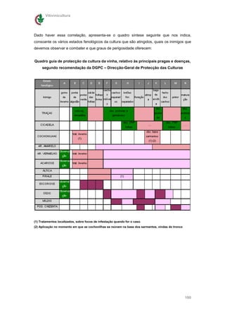Vitivinicultura




Dado haver essa correlação, apresenta-se o quadro síntese seguinte que nos indica,
consoante os vários estados fenológicos da cultura que são atingidos, quais os inimigos que
devemos observar e combater e que graus de perigosidade oferecem:


Quadro guia de protecção da cultura da vinha, relativo às principais pragas e doenças,
     segundo recomendação da DGPC – Direcção-Geral de Protecção das Culturas




(1) Tratamentos localizados, sobre focos de infestação quando for o caso.
(2) Aplicação no momento em que as cochonilhas se reúnem na base dos sarmentos, vindas do tronco




                                                                                                   190
 