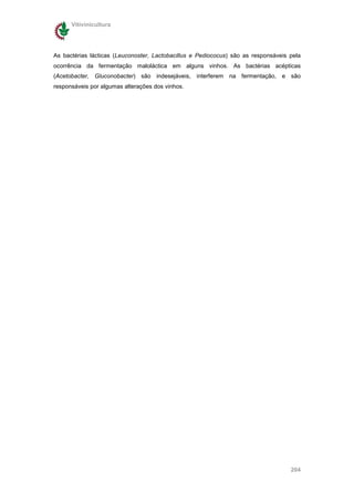 Vitivinicultura




As bactérias lácticas (Leuconoster, Lactobacillus e Pediococus) são as responsáveis pela
ocorrência da fermentação maloláctica em alguns vinhos. As bactérias acépticas
(Acetobacter, Gluconobacter) são indesejáveis, interferem na fermentação, e são
responsáveis por algumas alterações dos vinhos.




                                                                                    204
 