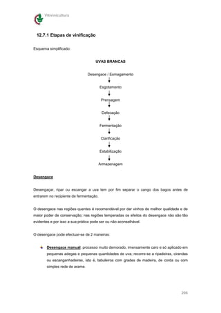 Vitivinicultura




 12.7.1 Etapas de vinificação

Esquema simplificado:


                                     UVAS BRANCAS


                                 Desengace / Esmagamento


                                         Esgotamento


                                         Prensagem


                                          Defecação


                                         Fermentação


                                         Clarificação


                                         Estabilização


                                      Armazenagem


Desengace


Desengaçar, ripar ou escangar a uva tem por fim separar o cango dos bagos antes de
entrarem no recipiente de fermentação.


O desengace nas regiões quentes é recomendável por dar vinhos de melhor qualidade e de
maior poder de conservação; nas regiões temperadas os efeitos do desengace não são tão
evidentes e por isso a sua prática pode ser ou não aconselhável.


O desengace pode efectuar-se de 2 maneiras:


        Desengace manual: processo muito demorado, imensamente caro e só aplicado em
        pequenas adegas e pequenas quantidades de uva; recorre-se a ripadeiras, cirandas
        ou escanganhadeiras, isto é, tabuleiros com grades de madeira, de corda ou com
        simples rede de arame.




                                                                                    206
 