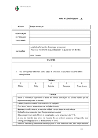 Vitivinicultura




                                                            Ficha de Consolidação Nº   8



  MÓDULO           Pragas e doenças



IDENTIFICAÇÃO

DO FORMANDO

OU DO GRUPO




                   -Leia toda a ficha antes de começar a responder
                   -Responda inicialmente às questões sobre as quais não tem dúvidas
INSTRUÇÕES


                   -Bom Trabalho

                                           ENUNCIADO



                                                I


1. Faça corresponder a tabela A com a tabela B, colocando na coluna da esquerda a letra
    correspondente.


                                            Tabela A
     A                    B                     C                    D                 E
   Míldio               Oídio                Botrytis             Escoriose       Traça da uva




                                              Tabela B
  Desde a rebentação aparecem na base dos ramos pontuações ou placas negras que se
  deprimem em seguida e se fendem.
  Presença de um pó branco ou acinzentado na folhagem.
  Com tempo húmido, aparecimento de um bolor cinzento.
  Na sua prevenção deve-se ter especial cuidado com os danos do oídio e traça.
  Botões florais unidos entre si por fios de seda (glomérulos).
  Oósporos germinam após 10 mm de precipitação, a uma temperatura de 11 ºC.
  A zona de inserção dos ramos na madeira do ano anterior apresenta enfraquecida, este
  estrangulamento pode levar ao destacamento do ramo.
  Manchas folheares pulverulentas esbranquiçadas na face inferior da folha, se o tempo decorrer


                                                                                       299
 