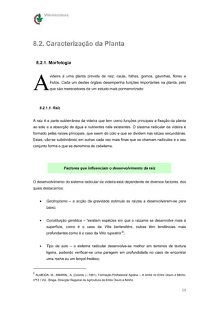 Vitivinicultura




8.2. Caracterização da Planta

    8.2.1. Morfologia




A
             videira é uma planta provida de raiz, caule, folhas, gomos, gavinhas, flores e
             frutos. Cada um destes órgãos desempenha funções importantes na planta, pelo
             que são merecedores de um estudo mais pormenorizado:




      8.2.1.1. Raiz


A raiz é a parte subterrânea da videira que tem como funções principais a fixação da planta
ao solo e a absorção de água e nutrientes nele existentes. O sistema radicular da videira é
formado pelas raízes principais, que saem do colo e que se dividem nas raízes secundárias.
Estas, vão-se subdividindo em outras cada vez mais finas que se chamam radículas e o seu
conjunto forma o que se denomina de cabelame.




                       Factores que influenciam o desenvolvimento da raiz


O desenvolvimento do sistema radicular da videira está dependente de diversos factores, dos
quais destacamos:


      •    Geotropismo – a acção da gravidade estimula as raízes a desenvolverem-se para
           baixo;


      •    Constituição genética – “existem espécies em que o raizame se desenvolve mais à
           superfície, como é o caso da Vitis berlandière, outras têm tendências mais
                                                                   5
           profundantes como é o caso da Vitis rupestris” ;


      •    Tipo de solo – o sistema radicular desenvolve-se melhor em terrenos de textura
           ligeira, podendo verificar-se uma paragem em profundidade no caso de encontrar
           uma rocha ou um lençol freático;


5
    ALMEIDA, M., AMARAL, A. (Coords.), (1991), Formação Profissional Agrária – A vinha no Entre Douro e Minho,
nº12 I Vol., Braga, Direcção Regional de Agricultura de Entre Douro e Minho.


                                                                                                           29
 