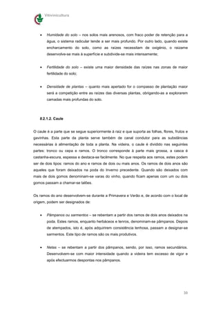 Vitivinicultura




    •    Humidade do solo – nos solos mais arenosos, com fraco poder de retenção para a
         água, o sistema radicular tende a ser mais profundo. Por outro lado, quando existe
         encharcamento do solo, como as raízes necessitam de oxigénio, o raizame
         desenvolve-se mais à superfície e subdivide-se mais intensamente;


    •    Fertilidade do solo – existe uma maior densidade das raízes nas zonas de maior
         fertilidade do solo;


    •    Densidade de plantas – quanto mais apertado for o compasso de plantação maior
         será a competição entre as raízes das diversas plantas, obrigando-as a explorarem
         camadas mais profundas do solo.




   8.2.1.2. Caule


O caule é a parte que se segue superiormente à raiz e que suporta as folhas, flores, frutos e
gavinhas. Esta parte da planta serve também de canal condutor para as substâncias
necessárias à alimentação de toda a planta. Na videira, o caule é dividido nas seguintes
partes: tronco ou cepa e ramos. O tronco corresponde à parte mais grossa, a casca é
castanha-escura, espessa e destaca-se facilmente. No que respeita aos ramos, estes podem
ser de dois tipos: ramos do ano e ramos de dois ou mais anos. Os ramos de dois anos são
aqueles que foram deixados na poda do Inverno precedente. Quando são deixados com
mais de dois gomos denominam-se varas do vinho, quando ficam apenas com um ou dois
gomos passam a chamar-se talões.


Os ramos do ano desenvolvem-se durante a Primavera e Verão e, de acordo com o local de
origem, podem ser designados de:


    •    Pâmpanos ou sarmentos – se rebentam a partir dos ramos de dois anos deixados na
         poda. Estes ramos, enquanto herbáceos e tenros, denominam-se pâmpanos. Depois
         de atempados, isto é, após adquirirem consistência lenhosa, passam a designar-se
         sarmentos. Este tipo de ramos são os mais produtivos.


    •    Netas – se rebentam a partir dos pâmpanos, sendo, por isso, ramos secundários.
         Desenvolvem-se com maior intensidade quando a videira tem excesso de vigor e
         após efectuarmos despontas nos pâmpanos.




                                                                                          30
 
