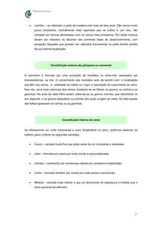 Vitivinicultura




    •    Ladrões – se rebentam a partir da madeira com mais de dois anos. São ramos muito
         pouco produtivos, normalmente mais vigorosos que os outros e, por isso, vão
         competir em termos alimentares com os ramos mais produtivos. Por estes motivos
         devem ser retirados no decorrer das primeiras fases de desenvolvimento, com
         excepção daqueles que possam ser utilizados futuramente na poda tirando partido
         da sua óptima localização.




                      Constituição externa do pâmpano ou sarmento


O sarmento é formado por uma sucessão de meritalos ou entre-nós, separados por
intumescências, os nós. O comprimento dos meritalos varia de acordo com: a localização
que têm nos ramos, a variedade da videira e o vigor e velocidade de crescimento do ramo.
Nos nós, zona mais volumosa dos ramos, localizam-se as folhas, os gomos, os cachos e as
gavinhas. Na axila de cada folha podem observar-se os gomos normais, que rebentarão no
ano seguinte, e os gomos estipulares ou prontos dos quais surgem as netas. Do lado oposto
das folhas aparecem os cachos ou as gavinhas.




                               Constituição interna do ramo


Ao efectuarmos um corte transversal e outro longitudinal no ramo, podemos observar do
exterior para o interior as seguintes camadas:


    •    Casca – camada muito fina que pode variar de cor consoante a variedade;


    •    Líber – formado por vasos por onde circula a seiva elaborada;


    •    Câmbio – constituído por numerosas células em constante multiplicação;


    •    Lenho – formado também por canais por onde passa a seiva bruta;


    •    Medula – camada mais interior e que vai diminuindo de espessura à medida que o
         ramo aumenta de diâmetro.




                                                                                      31
 