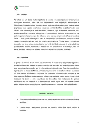 Vitivinicultura




   8.2.1.3. Folha


As folhas são um órgão muito importante da videira pois desempenham várias funções
fisiológicas essenciais, visto que são responsáveis pela respiração, transpiração e
fotossíntese. Para além disso, possuem, sob o ponto de vista ampelográfico, características
próprias de cada espécie e variedade o que nos permite identificar os porta-enxertos e as
castas. Esta identificação é feita pela forma, dimensão, tipo de recortes, vilosidade, cor,
aspecto superficial e forma do seio peciolar. É constituída por pecíolo e limbo. O pecíolo é a
parte responsável pela inserção das folhas no ramo e o seu comprimento difere consoante a
casta. O limbo, parte mais larga da folha, é composto por cinco nervuras principais que se
dividem numa rede cada vez mais fina, que irriga toda a folha. O limbo possui cinco lóbulos
separados por cinco seios. Apresenta uma cor verde devido à presença de uma substância
que se chama clorofila, no entanto, à medida que nos aproximamos da maturação, esta cor
vai-se alterando, passando a amarelo, rosado ou vermelho conforme a variedade.




   8.2.1.4. Gomos


O gomo é o embrião de um ramo. A sua formação dá-se ao longo do período vegetativo,
aproximadamente até meados de Julho. À medida que decorre o seu desenvolvimento inicia-
se a respectiva diferenciação, isto é, a formação de inflorescências. Esta diferenciação tem
lugar durante os meses de Maio e Junho do ano precedente ao abrolhamento e é favorecida
por dias quentes e soalheiros. Os gomos são protegidos do exterior pela lamugem e por
duas escamas. Debaixo dessas escamas existem, na realidade, vários gomos (um principal
localizado no centro e dois secundários de dimensões mais reduzidas). Os gomos
secundários só irão rebentar se o gomo principal sofrer algum dano. Na videira existem
vários tipos de gomos, que podem ser classificados quanto à natureza, idade e localização.




                                    Quanto à natureza:


    •    Gomos folheares - são gomos que dão origem a ramos que vão apresentar folhas e
         gavinhas;


    •    Gomos mistos - são gomos que vão dar origem a ramos com folhas, cachos e
         gavinhas.




                                                                                           32
 