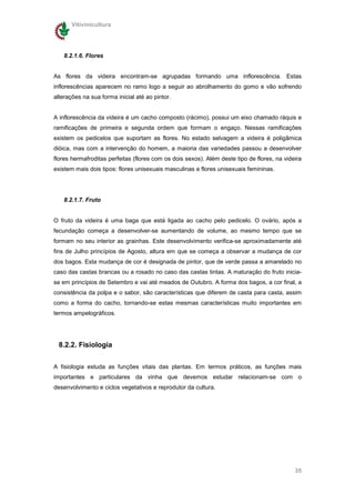 Vitivinicultura




   8.2.1.6. Flores


As flores da videira encontram-se agrupadas formando uma inflorescência. Estas
inflorescências aparecem no ramo logo a seguir ao abrolhamento do gomo e vão sofrendo
alterações na sua forma inicial até ao pintor.


A inflorescência da videira é um cacho composto (rácimo), possui um eixo chamado ráquis e
ramificações de primeira e segunda ordem que formam o engaço. Nessas ramificações
existem os pedicelos que suportam as flores. No estado selvagem a videira é poligâmica
dióica, mas com a intervenção do homem, a maioria das variedades passou a desenvolver
flores hermafroditas perfeitas (flores com os dois sexos). Além deste tipo de flores, na videira
existem mais dois tipos: flores unisexuais masculinas e flores unisexuais femininas.




   8.2.1.7. Fruto


O fruto da videira é uma baga que está ligada ao cacho pelo pedicelo. O ovário, após a
fecundação começa a desenvolver-se aumentando de volume, ao mesmo tempo que se
formam no seu interior as grainhas. Este desenvolvimento verifica-se aproximadamente até
fins de Julho princípios de Agosto, altura em que se começa a observar a mudança de cor
dos bagos. Esta mudança de cor é designada de pintor, que de verde passa a amarelado no
caso das castas brancas ou a rosado no caso das castas tintas. A maturação do fruto inicia-
se em princípios de Setembro e vai até meados de Outubro. A forma dos bagos, a cor final, a
consistência da polpa e o sabor, são características que diferem de casta para casta, assim
como a forma do cacho, tornando-se estas mesmas características muito importantes em
termos ampelográficos.




 8.2.2. Fisiologia


A fisiologia estuda as funções vitais das plantas. Em termos práticos, as funções mais
importantes e particulares da vinha que devemos estudar relacionam-se com o
desenvolvimento e ciclos vegetativos e reprodutor da cultura.




                                                                                             35
 