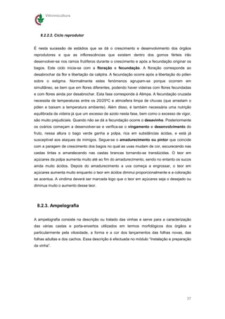Vitivinicultura




   8.2.2.2. Ciclo reprodutor


É nesta sucessão de estádios que se dá o crescimento e desenvolvimento dos órgãos
reprodutores e que as inflorescências que existem dentro dos gomos férteis irão
desenvolver-se nos ramos frutíferos durante o crescimento e após a fecundação originar os
bagos. Este ciclo inicia-se com a floração e fecundação. A floração corresponde ao
desabrochar da flor e libertação da caliptra. A fecundação ocorre após a libertação do pólen
sobre o estigma. Normalmente estes fenómenos agrupam-se porque ocorrem em
simultâneo, se bem que em flores diferentes, podendo haver videiras com flores fecundadas
e com flores ainda por desabrochar. Esta fase corresponde à Alimpa. A fecundação cruzada
necessita de temperaturas entre os 20/25ºC e atmosfera limpa de chuvas (que arrastam o
pólen e baixam a temperatura ambiente). Além disso, é também necessária uma nutrição
equilibrada da videira já que um excesso de azoto nesta fase, bem como o excesso de vigor,
são muito prejudiciais. Quando não se dá a fecundação ocorre o desavinho. Posteriormente
os ovários começam a desenvolver-se e verifica-se o vingamento e desenvolvimento do
fruto, nessa altura o bago verde ganha a polpa, rica em substâncias ácidas, e está já
susceptível aos ataques de inimigos. Segue-se o amadurecimento ou pintor que coincide
com a paragem de crescimento dos bagos no qual as uvas mudam de cor, escurecendo nas
castas tintas e amarelecendo nas castas brancas tornando-se translúcidas. O teor em
açúcares da polpa aumenta muito até ao fim do amadurecimento, sendo no entanto os sucos
ainda muito ácidos. Depois do amadurecimento a uva começa a engrossar, o teor em
açúcares aumenta muito enquanto o teor em ácidos diminui proporcionalmente e a coloração
se acentua. A vindima deverá ser marcada logo que o teor em açúcares seja o desejado ou
diminua muito o aumento desse teor.




 8.2.3. Ampelografia

A ampelografia consiste na descrição ou tratado das vinhas e serve para a caracterização
das várias castas e porta-enxertos utilizados em termos morfológicos dos órgãos e
particularmente pela vilosidade, a forma e a cor dos lançamentos das folhas novas, das
folhas adultas e dos cachos. Essa descrição é efectuada no módulo “Instalação e preparação
da vinha”.




                                                                                         37
 