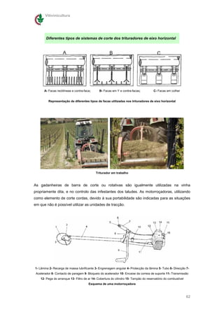 Vitivinicultura




        Diferentes tipos de sistemas de corte dos trituradores de eixo horizontal




       A- Facas rectilíneas e contra-faca;     B- Facas em Y e contra-facas;           C- Facas em colher


          Representação de diferentes tipos de facas utilizadas nos trituradores de eixo horizontal




                                             Triturador em trabalho



As gadanheiras de barra de corte ou rotativas são igualmente utilizadas na vinha
propriamente dita, e no controlo das infestantes dos taludes. As motorroçadoras, utilizando
como elemento de corte cordas, devido à sua portabilidade são indicadas para as situações
em que não é possível utilizar as unidades de tracção.




1- Lâmina 2- Recarga de massa lubrificante 3- Engrenagem angular 4- Protecção da lâmina 5- Tubo 6- Direcção 7-
 Acelerador 8- Contacto de paragem 9- Bloqueio do acelerador 10- Encaixe da correia de suporte 11- Transmissão
    12- Pega do arranque 13- Filtro de ar 14- Cobertura do cilindro 15- Tampão do reservatório do combustível
                                        Esquema de uma motorroçadora



                                                                                                                62
 