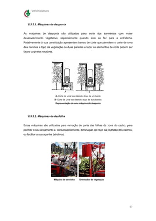 Vitivinicultura




   8.5.5.1. Máquinas de desponta


As máquinas de desponta são utilizadas para corte dos sarmentos com maior
desenvolvimento vegetativo, especialmente quando este se faz para a entrelinha.
Relativamente à sua constituição apresentam barras de corte que permitem o corte de uma
das paredes e topo da vegetação ou duas paredes e topo; os elementos de corte podem ser
facas ou pratos rotativos.




                              A- Corte de uma face lateral e topo de um bardo
                             B- Corte de uma face lateral e topo de dois bardos
                              Representação de uma máquina de desponta




   8.5.5.2. Máquinas de desfolha


Estas máquinas são utilizadas para remoção de parte das folhas da zona do cacho, para
permitir o seu arejamento e, consequentemente, diminuição do risco da podridão dos cachos,
ou facilitar a sua apanha (vindima).




                             Máquina de desfolha       Orientador de vegetação




                                                                                       67
 