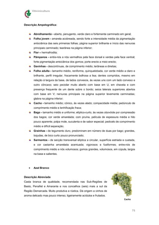 Vitivinicultura




Descrição Ampelográfica:


        Abrolhamento - aberto, penugento, verde claro e fortemente carminado em geral;
        Folha jovem - amarela acobreada, sendo forte a intensidade média da pigmentação
        antociânica das seis primeiras folhas; página superior brilhante e ínicio das nervuras
        principais carminado; tearânea na página inferior;
        Flor – hermafrodita;
        Pâmpanos - entre-nós e nós vermelhos pela face dorsal e verdes pela face ventral;
        forte pigmentação antociânica dos gomos; porte erecto a meio erecto;
        Gavinhas - descontínuas, de comprimento médio, terâneas e direitas;
        Folha adulta - tamanho médio, reniforme, quinquelobada, cor verde médio a claro e
        brilhante, perfil irregular, fracamente bolhosa a lisa; dentes compridos, mesmo em
        relação à largura da base, de lados convexos, às vezes uns com um lado convexo e
        outro côncavo; seio peciolar muito aberto com base em U, em chaveta e com
        presença frequente de um dente sobre o bordo; seios laterais superiores abertos
        com base em V; nervuras principais na página superior levemente carminadas;
        glabra na página inferior;
        Cacho - tamanho médio; cónico, às vezes alado; compacidade média; pedúnculo de
        comprimento médio e lenhificação fraca;
        Bago - tamanho médio e uniforme; elíptico-curto, às vezes obovóide por compressão
        dos bagos; cor verde amarelada; com pruína, película de espessura média e hilo
        pouco aparente; polpa mole, suculenta e de sabor especial; pedicelo de comprimento
        médio e difícil separação;
        Grainhas - de tegumento duro, predominam em número de duas por bago; grandes,
        bojudas, de bico curto pouco pronunciado;
        Sarmentos - de secção transversal elíptica a circular, superfície estriada e custada,
        e cor castanha amarelada acentuada; vigorosos e fusiformes; entre-nós de
        comprimento médio e nós volumosos; gomos grandes, volumosos, em cúpula, largos
        na base e salientes.




   •    Azal Branco


Descrição Abreviada
Casta branca de qualidade, recomendada nas Sub-Regiões de
Basto, Penafiel e Amarante e nos concelhos (seis) mais a sul da
Região Demarcada. Muito produtiva e rústica. Dá origem a vinhos de
aroma delicado mas pouco intenso, ligeiramente acídulos e frutados.
                                                                                    Cacho




                                                                                            75
 