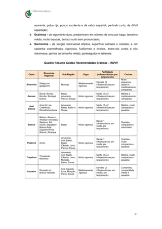 Vitivinicultura




       aparente; polpa rija, pouco suculenta e de sabor especial; pedicelo curto, de difícil
       separação;
       Grainhas - de tegumento duro, predominam em número de uma por bago; tamanho
       médio, muito bojudas, de bico curto bem pronunciado;
       Sarmentos - de secção transversal elíptica, superfície estriada e costada, e cor
       castanha avermelhada; vigorosos, fusiformes e direitos, entre-nós curtos e nós
       volumosos; gomos de tamanho médio, ponteagudos e salientes.


                Quadro Resumo Castas Recomendadas Brancas – RDVV


                                                                          Fertilidade
                Sinonímia
 Casta                             Sub-Região          Vigor        (inflorescências por      Cachos
                Regional
                                                                         lançamento)
                                                                                           Muito
                                                                    Elevada (3             pequenos,
            Galego ou                              Medianamente
Alvarinho                         Monção                            inflorescências por    alados e
            galeguinho                             vigorosa
                                                                    lançamento)            medianamente
                                                                                           compactos
            Borral, Bornal,       Baião,                            Média (1 a 2           Médios e
 Avesso     Bornão, Borraçal      Amarante,        Muito vigorosa   inflorescências por    medianamente
            branco                Paiva e Sousa                     lançamento)            compactos

            Azal da Lixa,         Amarante,                         Média (1 a 2           Médios, muito
  Azal
            Cadelhudo,            Basto, Baião e   Muito vigorosa   inflorescências por    compactos e
 branco
            Carvalhal pinheira    Sousa                             lançamento)            pesados


            Batoco, Alvaroco,
            Alvarça e Alvaroça;
                                                                    Baixa (1
            Sedouro. Sá                                                                    Grandes,
                                                                    inflorescência, em
 Batoca     Douro, Espadeiro      Basto            Muito vigorosa                          compactos e
                                                                    média por
            Branco Azal                                                                    volumosos
                                                                    lançamento)
            Espanhol Pinot
            Branco, Alvaraça

                                  Amarante,
                                                                    Baixa (1               Grandes,
                                  Ave, Baião,
                                                                    inflorescência, em     muito
Pedernã     Arinto                Basto,           Muito vigorosa
                                                                    média por              compactos e
                                  Cávado, Lima,
                                                                    lançamento)            pesados
                                  Paiva e Sousa

                                  Amarante,
                                  Ave, Basto,                       Média (1 a 2           Médios, muito
            Tricadente,
Trajadura                         Cávado, Lima,    Muito vigorosa   inflorescências por    compactos e
            Mourisco
                                  Monção,                           lançamento)            pesados
                                  Paiva, Sousa

                                                                    Elevada (2             Compridos,
                                  Ave, Cavado,
            Dourado (a),                           Medianamente     inflorescências, em    compacidade
Loureiro                          Lima, Monção,
            Branco redondo                         vigorosa         média, por             média e
                                  Paiva, Sousa
                                                                    lançamento)            pesados




                                                                                                         81
 