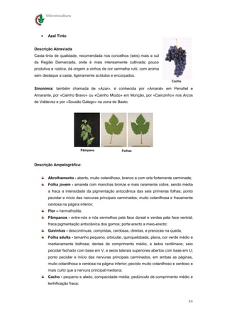 Vitivinicultura




   •    Azal Tinto


Descrição Abreviada
Casta tinta de qualidade, recomendada nos concelhos (seis) mais a sul
da Região Demarcada, onde é mais intensamente cultivada; pouco
produtiva e rústica; dá origem a vinhos de cor vermelha rubi, com aroma
sem destaque a casta, ligeiramente acídulos e encorpados.
                                                                                Cacho

Sinonímia: também chamada de «Azar», é conhecida por «Amaral» em Penafiel e
Amarante, por «Cainho Bravo» ou «Cainho Miúdo» em Monção, por «Cainzinho» nos Arcos
de Valdevez e por «Sousão Galego» na zona de Basto.




                              Pâmpano              Folhas



Descrição Ampelográfica:


        Abrolhamento - aberto, muito cotanilhoso, branco e com orla fortemente carminada;
        Folha jovem - amarela com manchas bronze e mais raramente cobre, sendo média
        a fraca a intensidade da pigmentação antociânica das seis primeiras folhas; ponto
        peciolar e início das nervuras principais carminados; muito cotanilhosa e fracamente
        cerdosa na página inferior;
        Flor – hermafrodita;
        Pâmpanos - entre-nós e nós vermelhos pela face dorsal e verdes pela face ventral;
        fraca pigmentação antociânica dos gomos; porte erecto a meio-erecto;
        Gavinhas - descontínuas, compridas, cerdosas, direitas, e precoces na queda;
        Folha adulta - tamanho pequeno, orbicular, quinquelobada, plana, cor verde médio e
        medianamente bolhosa; dentes de comprimento médio, e lados rectilíneos; seio
        peciolar fechado com base em V, e seios laterais superiores abertos com base em U;
        ponto peciolar e início das nervuras principais carminados, em ambas as páginas,
        muito cotanilhosa e cerdosa na página inferior; pecíolo muito cotanilhoso e cerdoso e
        mais curto que a nervura principal mediana;
        Cacho - pequeno e alado; cornpacidade média; pedúnculo de comprimento médio e
        lenhificação fraca;



                                                                                          84
 