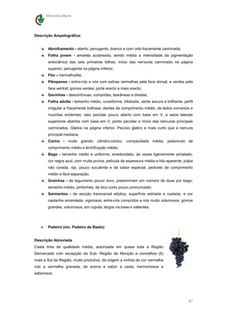 Vitivinicultura




Descrição Ampelográfica:


        Abrolhamento - aberto, penugento, branco e com orla fracamente carminada;
        Folha jovem - amarela acobreada, sendo média a intensidade da pigmentação
        antociânica das seis primeiras folhas; início das nervuras carminado na página
        superior; penugenta na página inferior;
        Flor – hermafrodita;
        Pâmpanos - entre-nós e nós com estrias vermelhas pela face dorsal, e verdes pela
        face ventral; gomos verdes; porte erecto a meio erecto;
        Gavinhas - descontínuas, compridas, tearâneas e direitas;
        Folha adulta - tamanho médio, cuneiforme, trilobada, verde escura e brilhante, perfil
        irregular e fracamente bolhosa; dentes de comprimento médio, de lados convexos e
        mucrões evidentes; seio peciolar pouco aberto com base em V, e seios laterais
        superiores abertos com base em V; ponto peciolar e início das nervuras principais
        carminados. Glabra na página inferior. Pecíoio glabro e mais curto que a nervura
        principal mediana;
        Cacho - muito grande; cilindro-cónico; compacidade média; pedúnculo de
        comprimento médio e lenhificação média;
        Bago - tamanho médio e uniforme; arredondado, às vezes ligeiramente achatado;
        cor negra azul; com muita pruína, película de espessura média e hilo aparente; polpa
        não corada, rija, pouco suculenta e de sabor especial, pedicelo de comprimento
        médio e fácil separação;
        Grainhas - de tegumento pouco duro, predominam em número de duas por bago;
        tamanho médio, piriformes, de bico curto pouco pronunciado;
        Sarmentos - de secção transversal elíptica, superfície estriada e costada, e cor
        castanha amarelada; vigorosos; entre-nós compridos e nós muito volumosos; gomos
        grandes, volumosos, em cúpula, largos na base e salientes;




   •    Padeiro (sin. Padeiro de Basto)


Descrição Abreviada
Casta tinta de qualidade média, autorizada em quase toda a Região
Demarcada com excepção da Sub- Região de Monção e concelhos (6)
mais a Sul da Região; muito produtiva; dá origem a vinhos de cor vermelha
rubi a vermelha granada, de aroma e sabor a casta, harmoniosos e
saborosos.




                                                                                          87
 