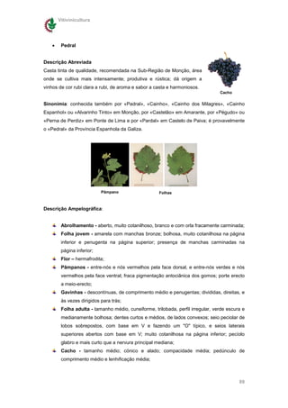 Vitivinicultura




    •    Pedral


Descrição Abreviada
Casta tinta de qualidade, recomendada na Sub-Região de Monção, área
onde se cultiva mais intensamente; produtiva e rústica; dá origem a
vinhos de cor rubi clara a rubi, de aroma e sabor a casta e harmoniosos.
                                                                                  Cacho


Sinonímia: conhecida também por «Padral», «Cainho», «Cainho dos Milagres», «Cainho
Espanhol» ou «Alvarinho Tinto» em Monção, por «Castelão» em Amarante, por «Pégudo» ou
«Perna de Perdiz» em Ponte de Lima e por «Pardal» em Castelo de Paiva; é provavelmente
o «Pedral» da Província Espanhola da Galiza.




                            Pâmpano                   Folhas



Descrição Ampelográfica:


         Abrolhamento - aberto, muito cotanilhoso, branco e com orla fracamente carminada;
         Folha jovem - amarela com manchas bronze; bolhosa, muito cotanilhosa na página
         inferior e penugenta na página superior; presença de manchas carminadas na
         página inferior;
         Flor – hermafrodita;
         Pâmpanos - entre-nós e nós vermelhos pela face dorsal, e entre-nós verdes e nós
         vermelhos pela face ventral; fraca pigmentação antociânica dos gomos; porte erecto
         a meio-erecto;
         Gavinhas - descontínuas, de comprimento médio e penugentas; divididas, direitas, e
         às vezes dirigidos para trás;
         Folha adulta - tamanho médio, cuneiforme, trilobada, perfil irregular, verde escura e
         medianamente bolhosa; dentes curtos e médios, de lados convexos; seio peciolar de
         lobos sobrepostos, com base em V e fazendo um "O" típico, e seios laterais
         superiores abertos com base em V; muito cotanilhosa na página inferior; pecíolo
         glabro e mais curto que a nervura principal mediana;
         Cacho - tamanho médio; cónico e alado; compacidade média; pedúnculo de
         comprimento médio e lenhificação média;



                                                                                           89
 