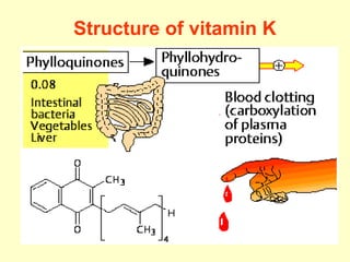 Structure of vitamin K
 