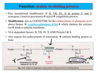Function: mainly in clotting process
• Post translational modification of II, VII, IX, X & protein C and S
zymogens ( inactive precursors)à activeà coagulation process.
• Modification: acts as COENZYME for the carboxylation of glutamate aa of
above factors à γ-carboxyglutamate (Gla)à which chelates the calcium
ionà binds to platelet membrane
• Vit k dependent factors: II, VII, IX ,X AND Protein C& S.
• Also require for carboxylation of osteocalcin à calcium binding protein in
bone
 