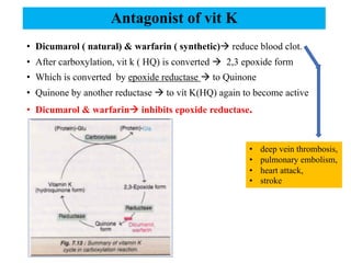 • Dicumarol ( natural) & warfarin ( synthetic)à reduce blood clot.
• After carboxylation, vit k ( HQ) is converted à 2,3 epoxide form
• Which is converted by epoxide reductase à to Quinone
• Quinone by another reductase à to vit K(HQ) again to become active
• Dicumarol & warfarinà inhibits epoxide reductase.
Antagonist of vit K
• deep vein thrombosis,
• pulmonary embolism,
• heart attack,
• stroke
 